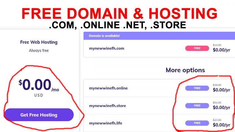 .COM, .NET, .ORG Free Domain and hosting from Hostinger 2022
