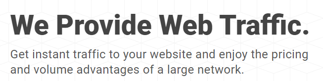 We Provide Web Traffic